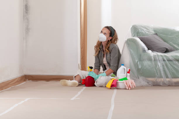 Reliable Mold Testing contractor in Hydes, MD by WQB Mold Removal